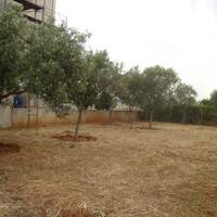 Other in Greece, Eretria, 280 sq.m.