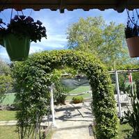 Other in Greece, Eretria, 100 sq.m.