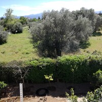 Other in Greece, Eretria, 100 sq.m.