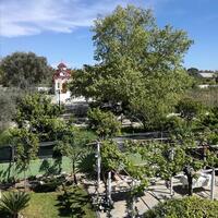 Other in Greece, Eretria, 100 sq.m.