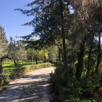 Other in Greece, Paralia, 411 sq.m.
