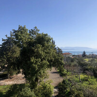 Other in Greece, Paralia, 411 sq.m.