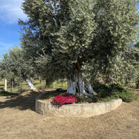 Other in Greece, 150 sq.m.