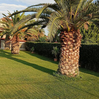 Other in Greece, 143 sq.m.