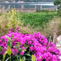 Other in Greece, Panagia, 100 sq.m.