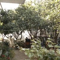 Residential complex in Greece, 384 sq.m.
