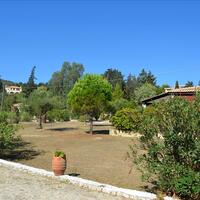 Business center in Greece, Ionian Islands, Zakynthos, 70 sq.m.