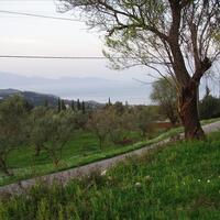 Business center in Greece, Ionian Islands, Zakynthos, 8300 sq.m.