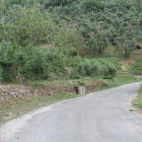 Остров в Греции, Ионические острова, Корфу, 7000 кв.м.