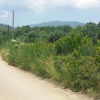 Island in Greece, Ionian Islands, Corfu, 2770 sq.m.