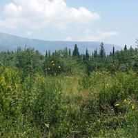 Island in Greece, Ionian Islands, Corfu, 2770 sq.m.