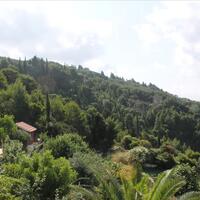 Island in Greece, Ionian Islands, Corfu, 12000 sq.m.
