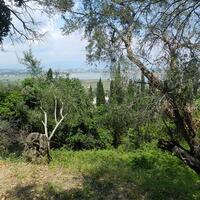 Island in Greece, Ionian Islands, Corfu, 825 sq.m.