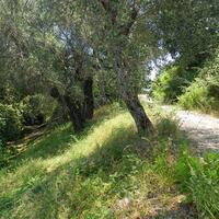 Island in Greece, Ionian Islands, Corfu, 825 sq.m.