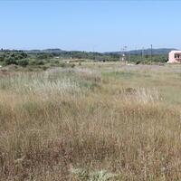 Island in Greece, Ionian Islands, Corfu, 30000 sq.m.