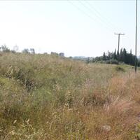 Island in Greece, Ionian Islands, Corfu, 30000 sq.m.