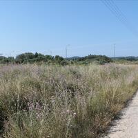 Island in Greece, Ionian Islands, Corfu, 30000 sq.m.