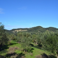 Island in Greece, Ionian Islands, Corfu, 27000 sq.m.