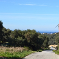 Island in Greece, Ionian Islands, Corfu, 27000 sq.m.
