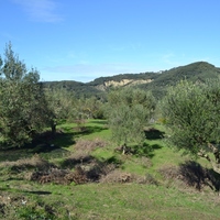 Island in Greece, Ionian Islands, Corfu, 27000 sq.m.