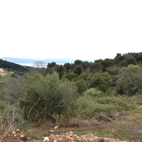 Island in Greece, Ionian Islands, Corfu, 5743 sq.m.