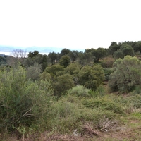 Island in Greece, Ionian Islands, Corfu, 5743 sq.m.