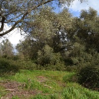 Island in Greece, Ionian Islands, Corfu, 7500 sq.m.