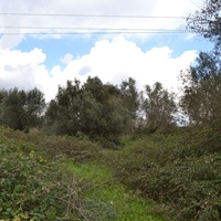 Island in Greece, Ionian Islands, Corfu, 7500 sq.m.