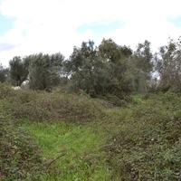 Island in Greece, Ionian Islands, Corfu, 7500 sq.m.