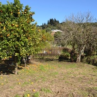 Island in Greece, Ionian Islands, Corfu, 700 sq.m.