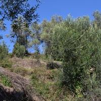 Остров в Греции, Ионические острова, Корфу, 2000 кв.м.