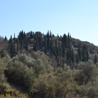 Island in Greece, Ionian Islands, Corfu, 14700 sq.m.