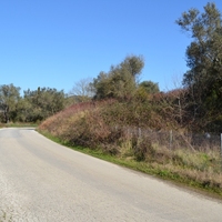 Island in Greece, Ionian Islands, Corfu, 14700 sq.m.