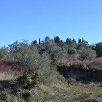 Island in Greece, Ionian Islands, Corfu, 14700 sq.m.