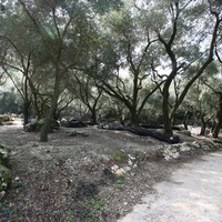 Island in Greece, Ionian Islands, Corfu, 40000 sq.m.