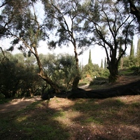 Island in Greece, Ionian Islands, Corfu, 40000 sq.m.