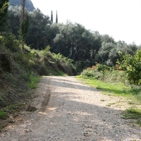 Island in Greece, Ionian Islands, Corfu, 40000 sq.m.