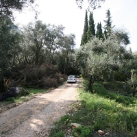 Island in Greece, Ionian Islands, Corfu, 40000 sq.m.