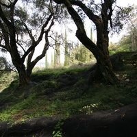 Island in Greece, Ionian Islands, Corfu, 40000 sq.m.