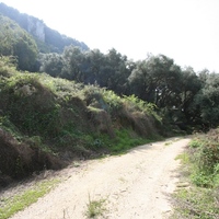 Island in Greece, Ionian Islands, Corfu, 40000 sq.m.