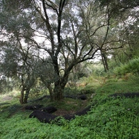 Island in Greece, Ionian Islands, Corfu, 40000 sq.m.