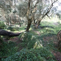 Island in Greece, Ionian Islands, Corfu, 40000 sq.m.