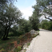 Island in Greece, Ionian Islands, Corfu, 40000 sq.m.