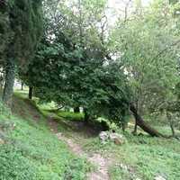 Island in Greece, Ionian Islands, Corfu, 40000 sq.m.