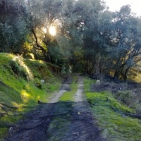 Island in Greece, Ionian Islands, Corfu, 40000 sq.m.