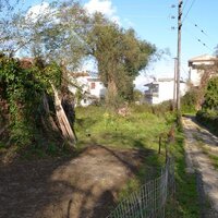 Island in Greece, Ionian Islands, Corfu, 930 sq.m.