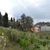 Island in Greece, Ionian Islands, Corfu, 2300 sq.m.