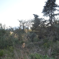 Island in Greece, Ionian Islands, Corfu, 13500 sq.m.