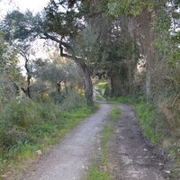 Island in Greece, Ionian Islands, Corfu, 13500 sq.m.