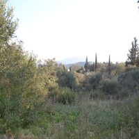 Island in Greece, Ionian Islands, Corfu, 13500 sq.m.